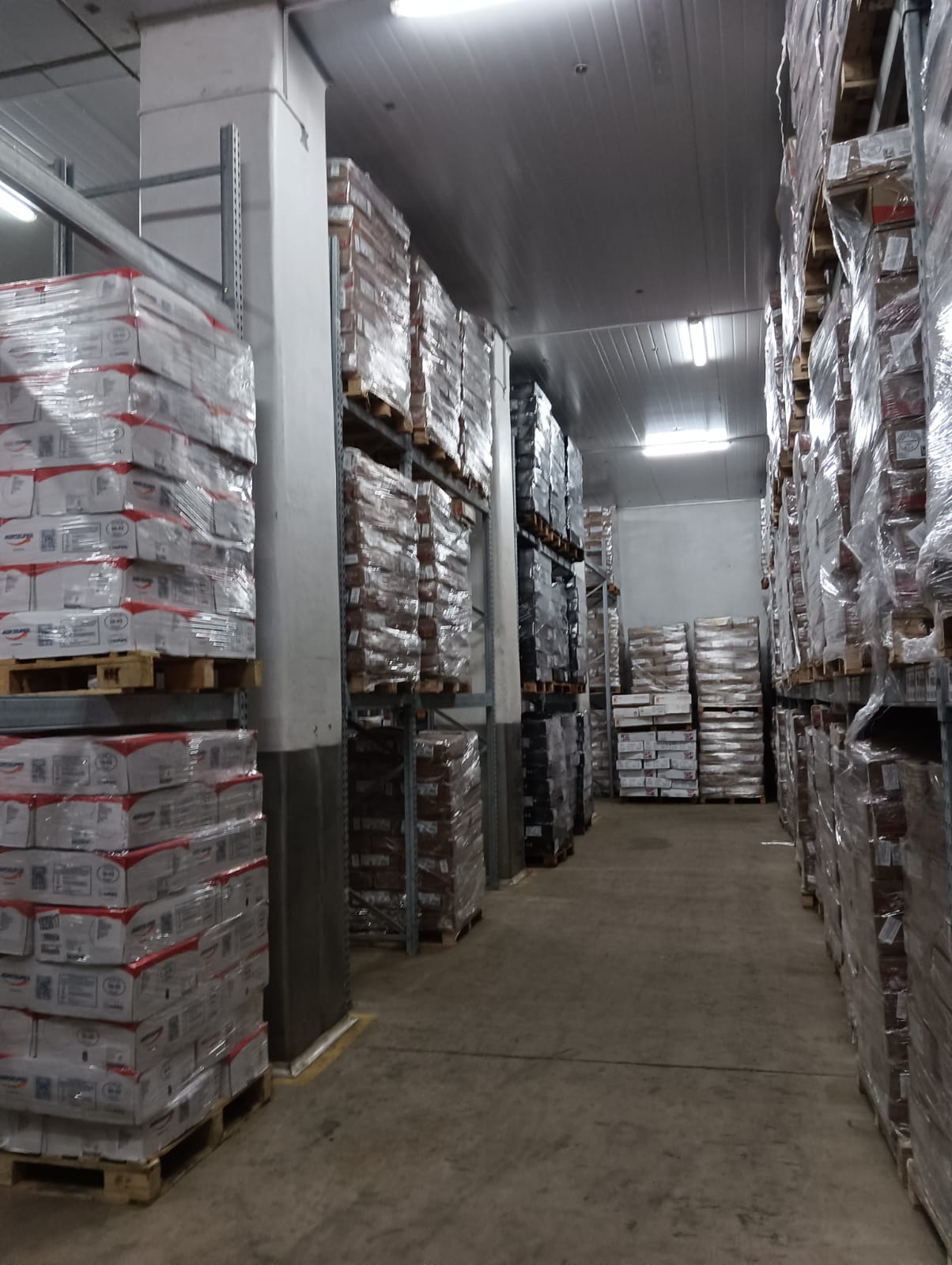 Cámara frigorífica de FRIONETO con racking y pallets en Constitución, CABA